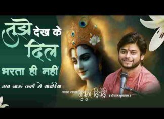 Tujhe Dekh Ke Dil Bharta Hi Nahi Lyrics – तुझे देख के दिल भरता ही नहीं लिरिक्स Tujhe Dekh Ke Dil Bharta Hi Nahi Lyrics - तुझे देख के दिल भरता ही नहीं लिरिक्स